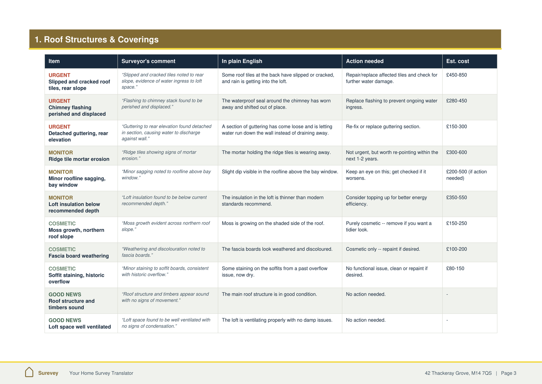 Roof Structures and Coverings section table, with surveyor quotes translated into plain English